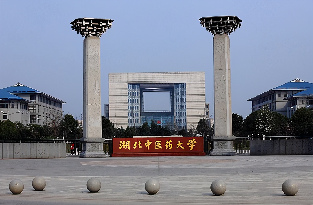 郁金香 武漢航海職業技術學院的自然饋贈